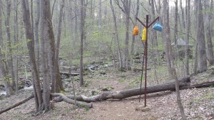 Unless a bear can stretch nearly 10 feet, our food is safe.