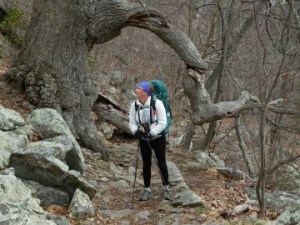 Hiking through some crazy twisted trees...