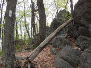 A'mazing boulders...