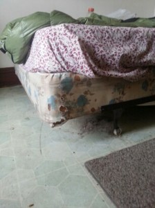 This is the room next to ours. The picture was taken by a fellow hiker