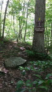 Site of a plutonium spill in the 70's. We decided not to take the scenic, glowing side trail...