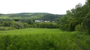 Pastoral New England...