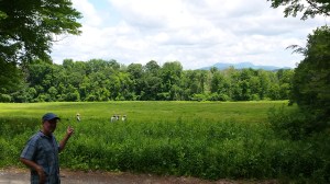 The view of Mt. Greylock (the whale) that inspired Moby Dick...