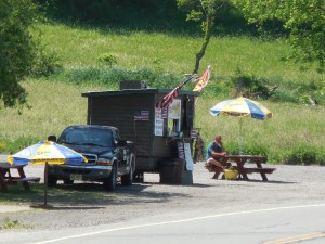 Happiness Is......Hot Dog stands 100 feet from the trail!!! Easy calories and ice-cold drinks!!!