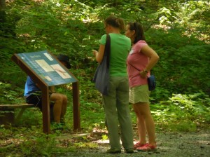 Someone wasn't impressed with the educational signage....