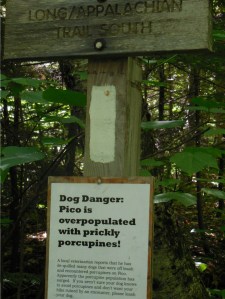 Puppies beware!