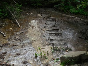 Rock are getting bigger, steeper & wetter...some parts of the trail include embedded helper ladders.