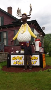 Even a moose needs a scratch now and then...