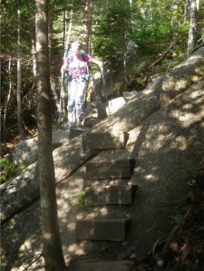 Sometimes they have built-in steps...