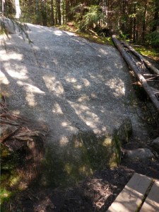 Sometimes they just go up or down a steep slab of granite...