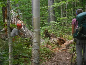 Another MATC volunteer at work, this one clearing blow-downs with his chainsaw...