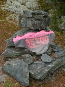 Someone lost their drawers...