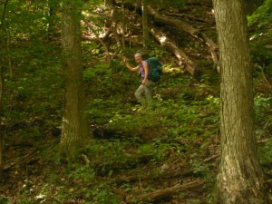 Pleasantly smooth trails with switchbacks are making the hiking quite more enjoyable...