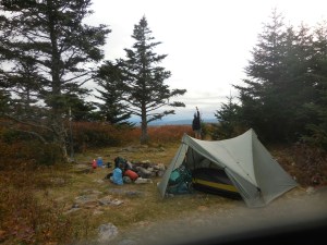 Reaching for the skies...literally...just enough reception to send off a text. :-p