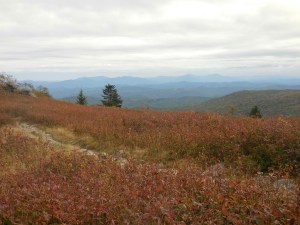 Looking south from our Mt. Rodgers camp in to North Carolina...
