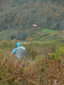Wet hiking toward Over mountain Shelter (converted barn) in the Roan Highlands...