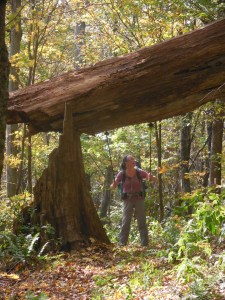 Jess holding it up so that I can pass safely...