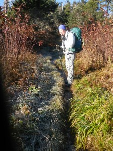 Morning frost just north of the highest point on the trail...