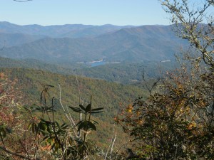 Leaves changing colors in southern North Carolina...