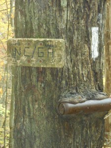 ...the border...only about 80 miles left to trek...